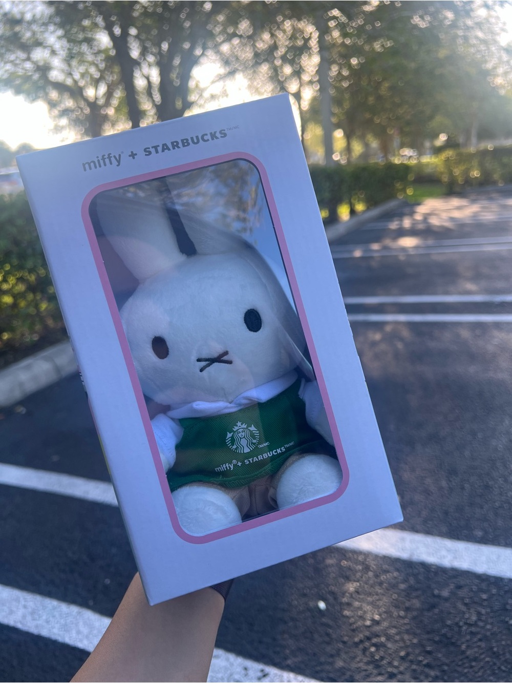 2026 Starbucks x Miffy Plush Doll EARLY RELEASE IN HAND READY TO SHIP NOW NEW